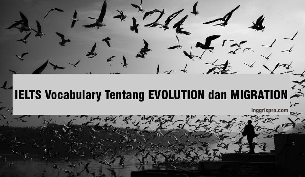 10 IELTS Vocabulary Tentang EVOLUTION dan MIGRATION